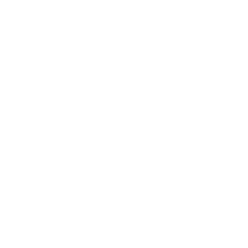 Ícone 4